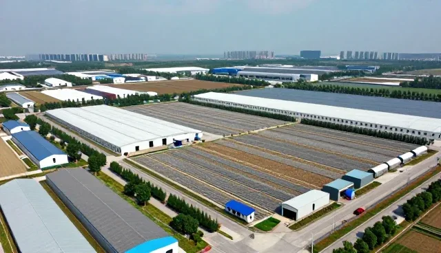 信息更新对系统稳定性的关键影响分析